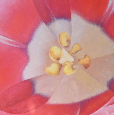 Tulipe au coeur